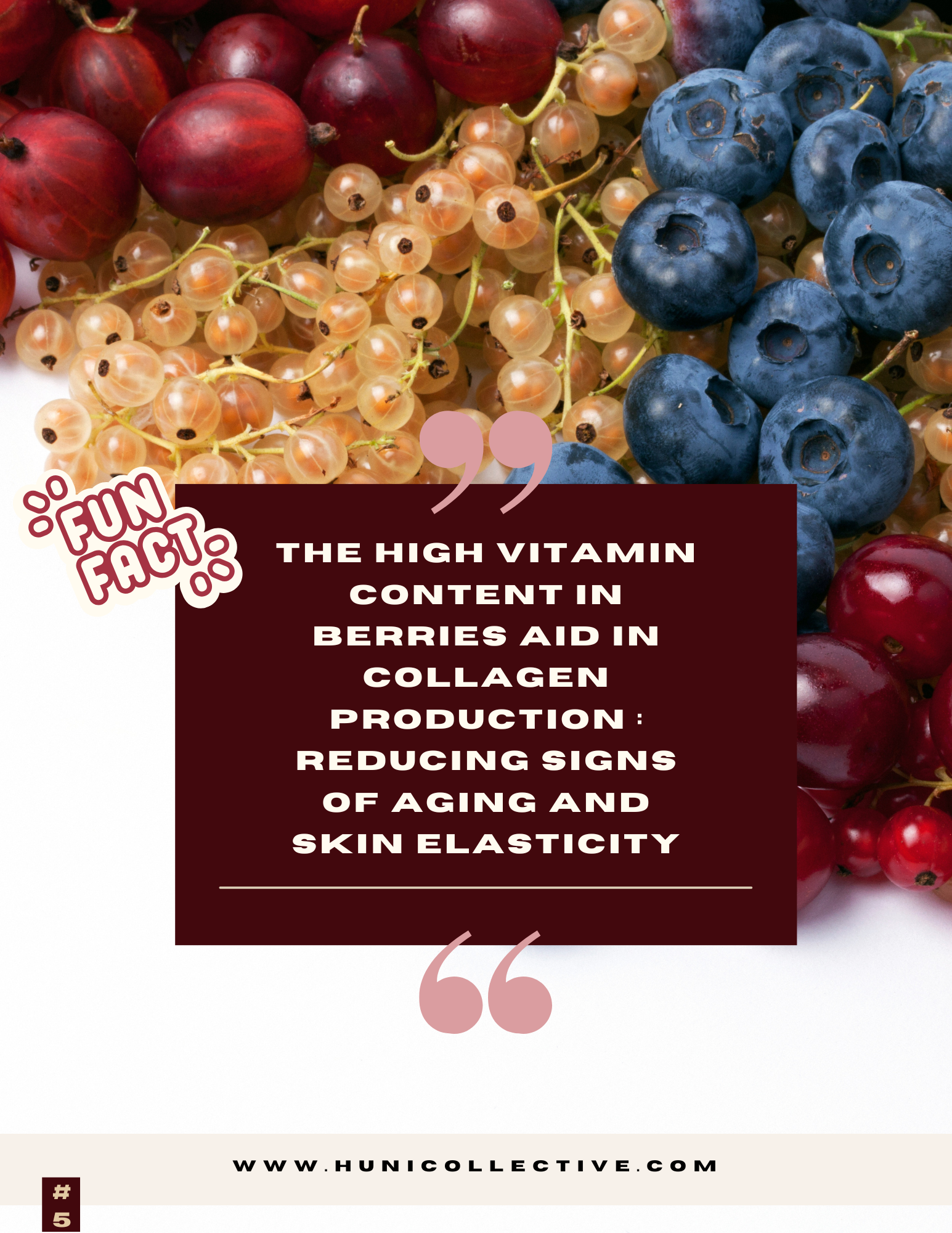 FOR THE LOVE OF SMOOTHIES E-BOOK
